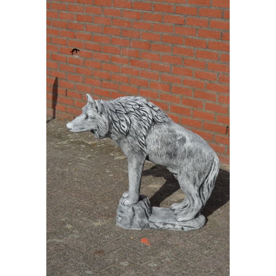 Grote betonnen wolf – indrukwekkend tuinbeeld met veel detail-3