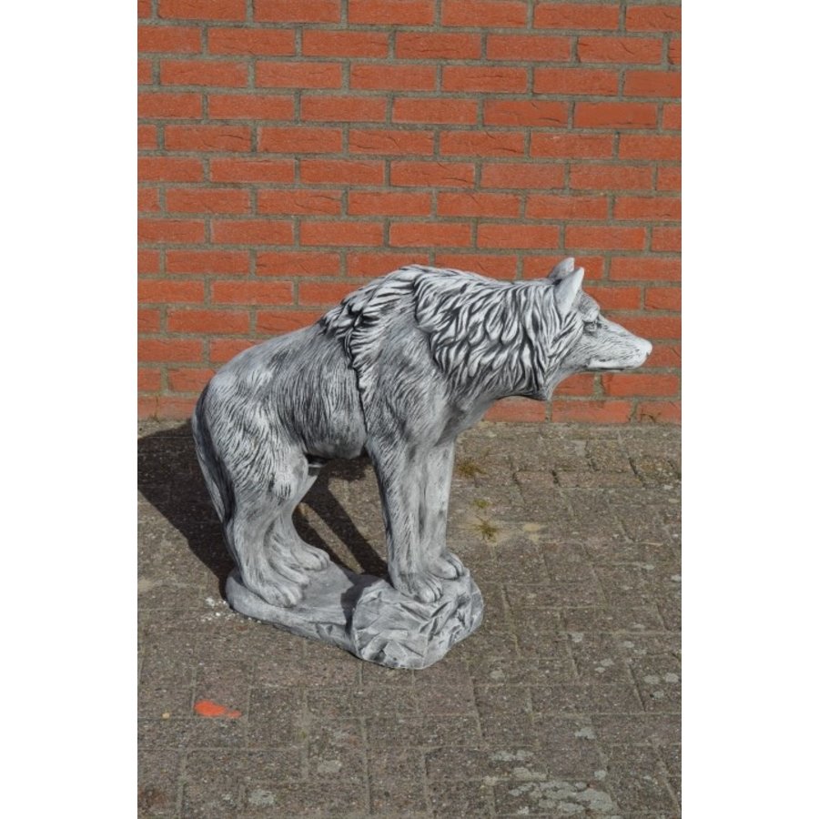 Grote betonnen wolf – indrukwekkend tuinbeeld met veel detail-4