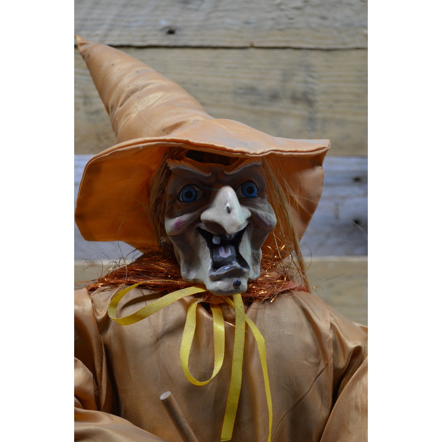 Grote vintage heksenpop met bezem-2