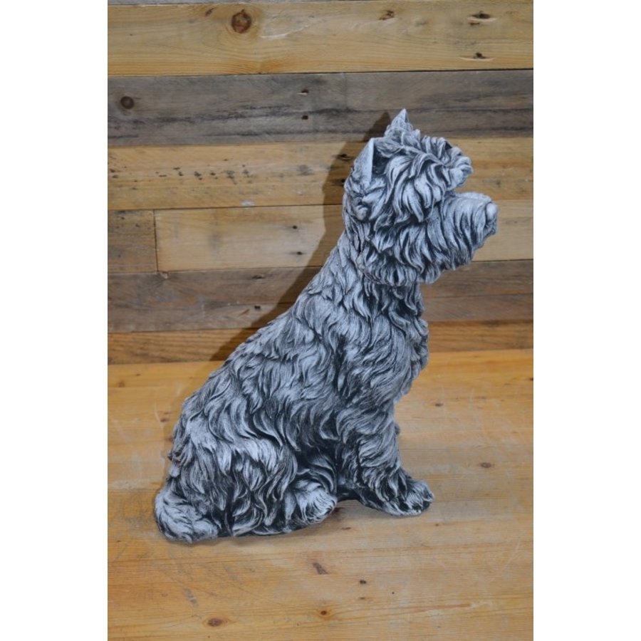 Betonnen Yorkshire terriër – lief en decoratief tuinbeeld van beton-3