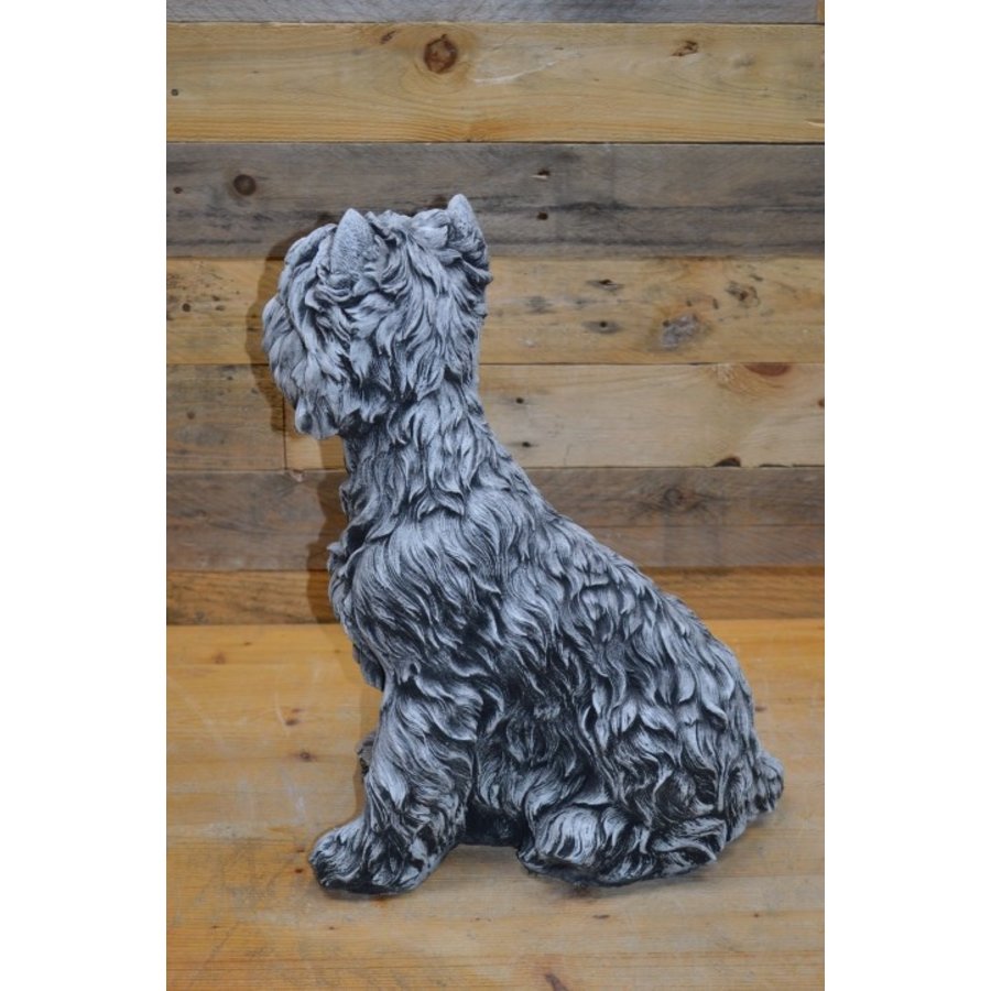 Betonnen Yorkshire terriër – lief en decoratief tuinbeeld van beton-5