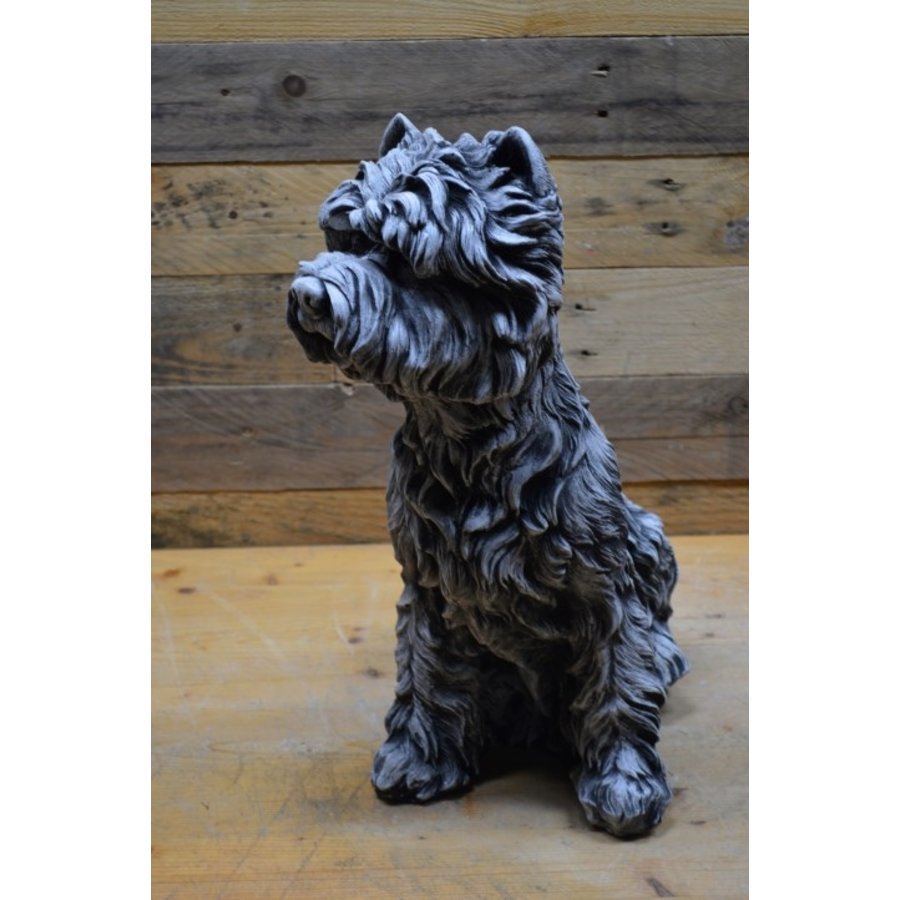 Betonnen Yorkshire terriër – lief en decoratief tuinbeeld van beton-6