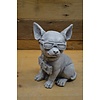 LoodsVol, Tuinbeelden Betonnen Chihuahua met zonnebril en bordje – grappig decoratiebeeld