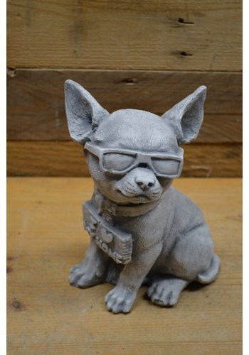 Betonnen beeld Chihuahua met zonnebril 