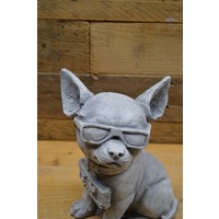 thumb-Betonnen Chihuahua met zonnebril en bordje – grappig decoratiebeeld-3