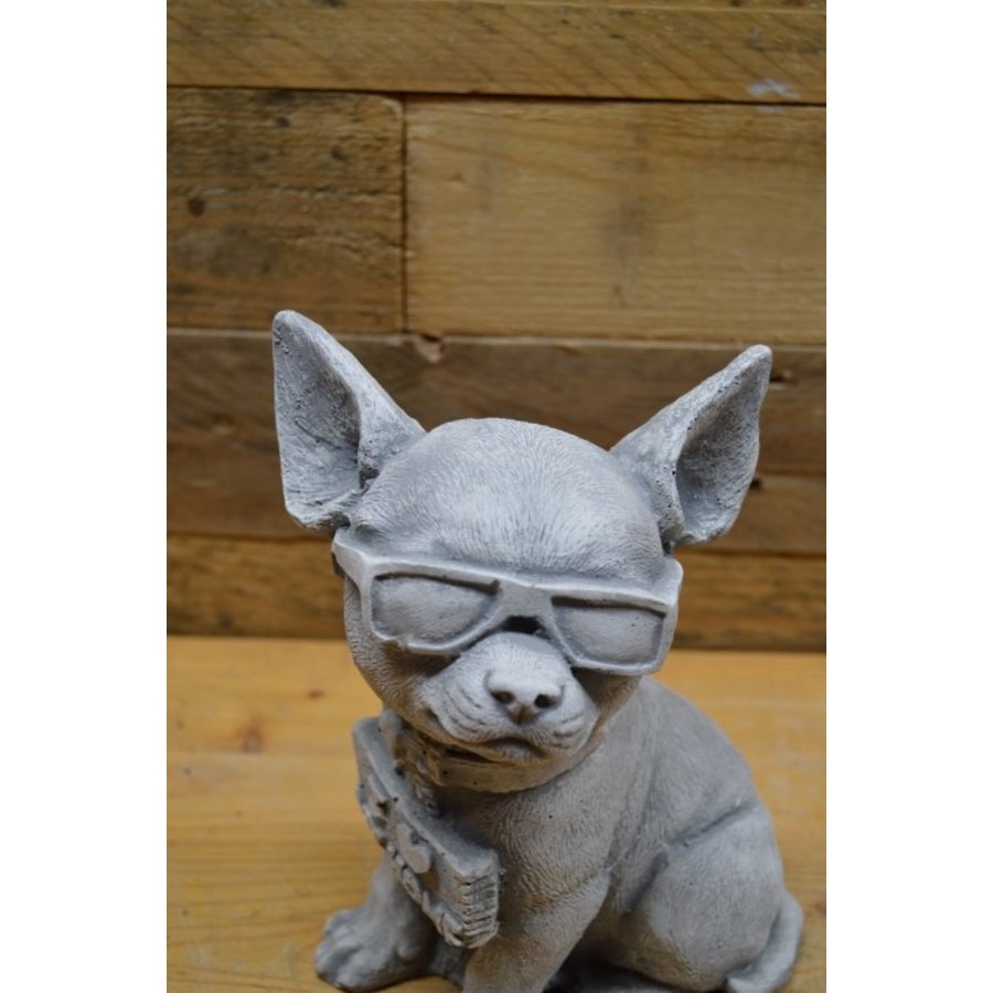 Betonnen Chihuahua met zonnebril en bordje – grappig decoratiebeeld-3