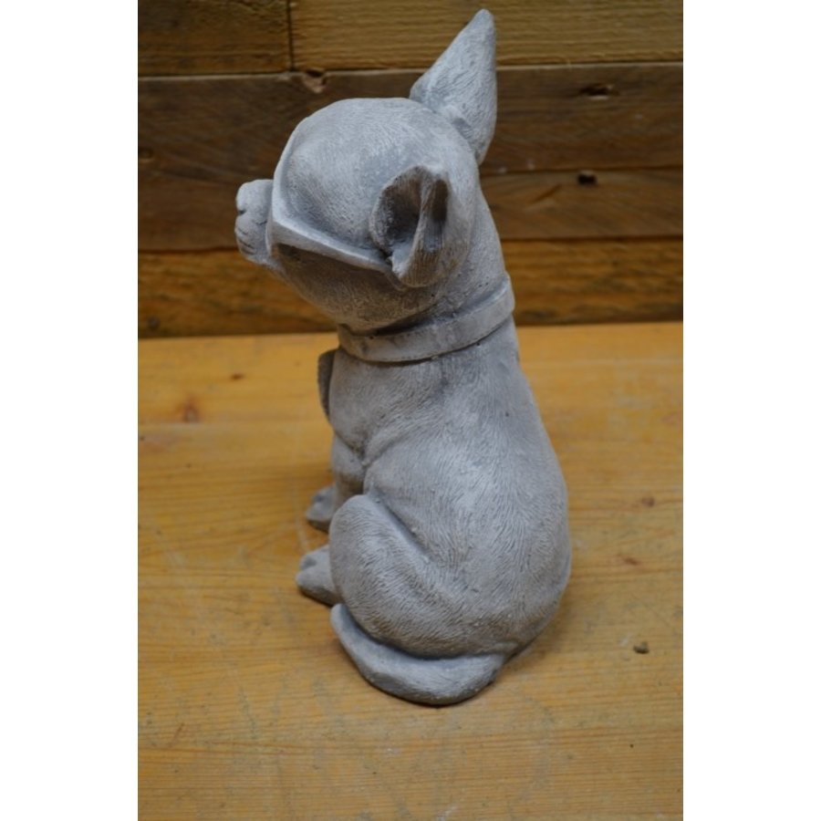 Betonnen Chihuahua met zonnebril en bordje – grappig decoratiebeeld-4