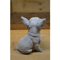 thumb-Betonnen Chihuahua met zonnebril en bordje – grappig decoratiebeeld-5