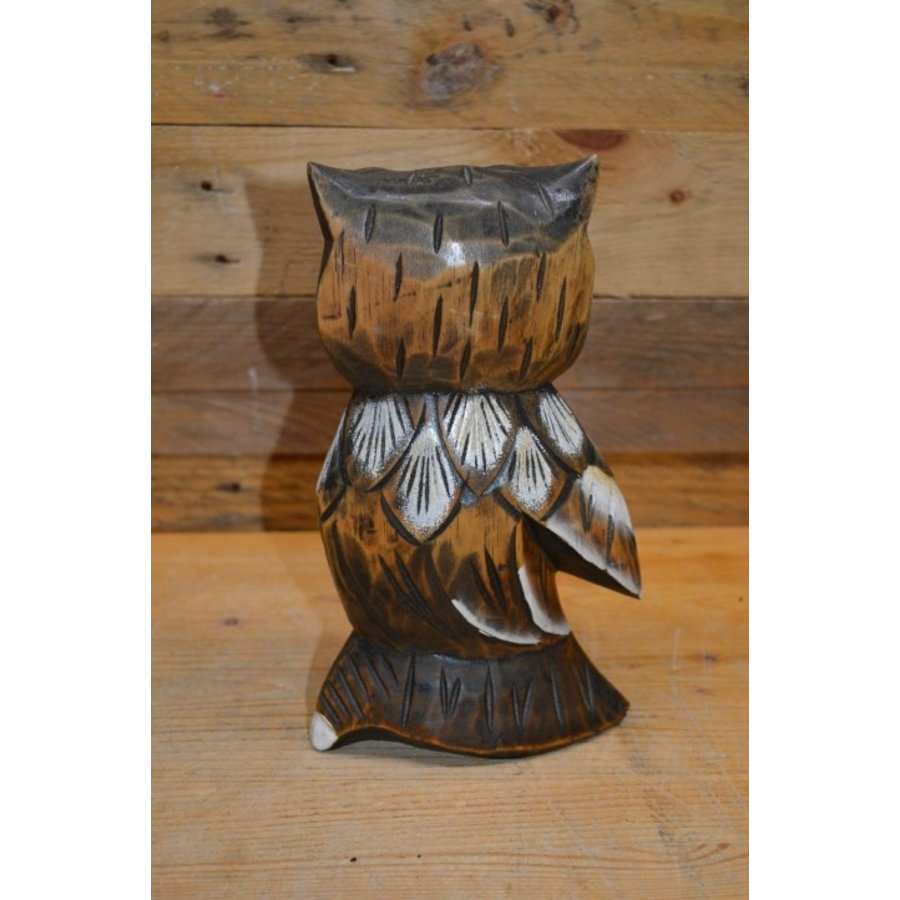 Uil van hout-3