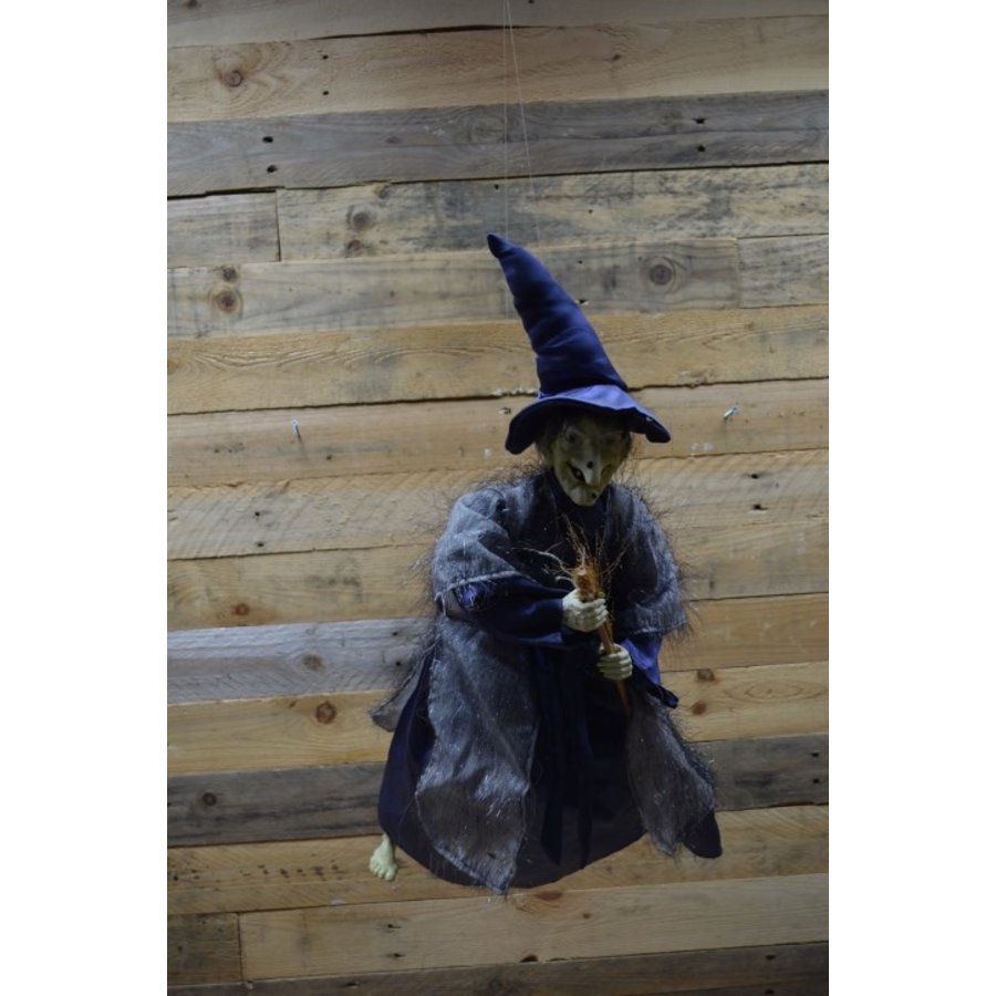 Vliegende blauwe heks-5