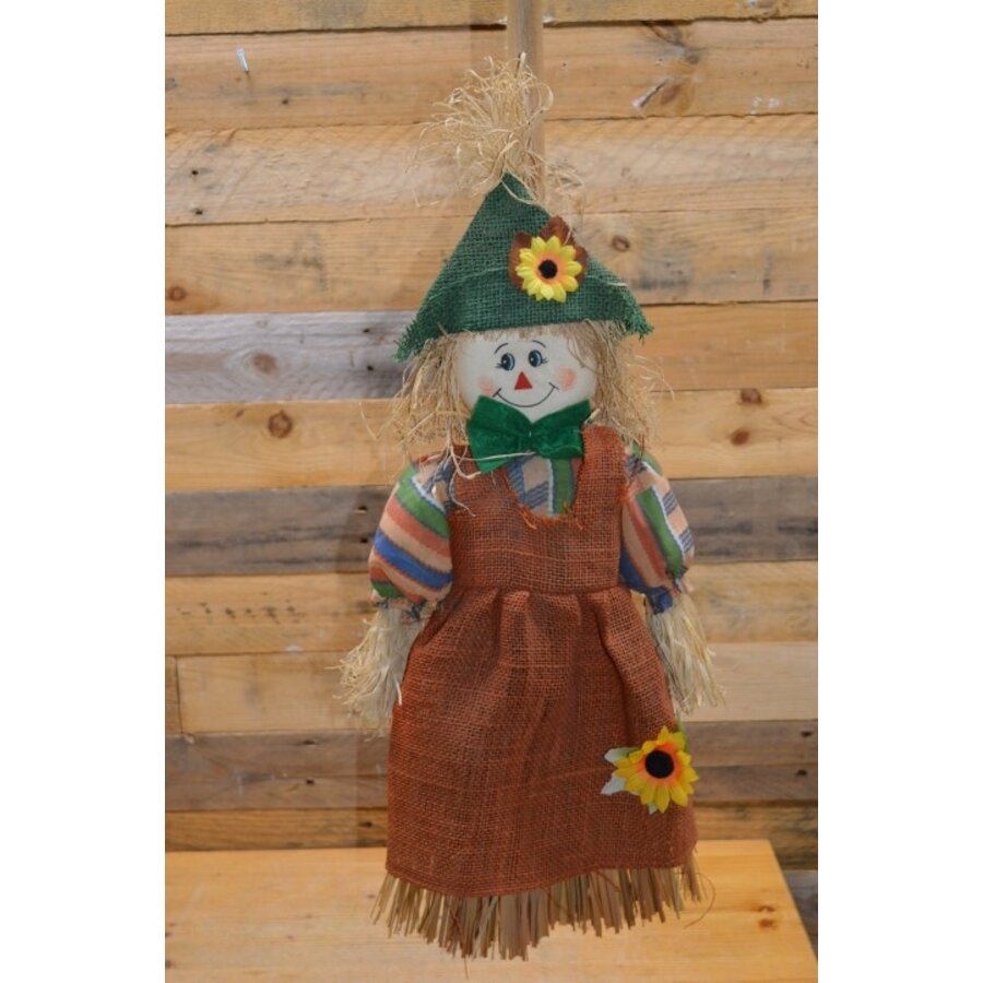 Vogelverschrikker bezem-2