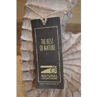 thumb-Decoratie Zeepaardje van duurzaam hout-2