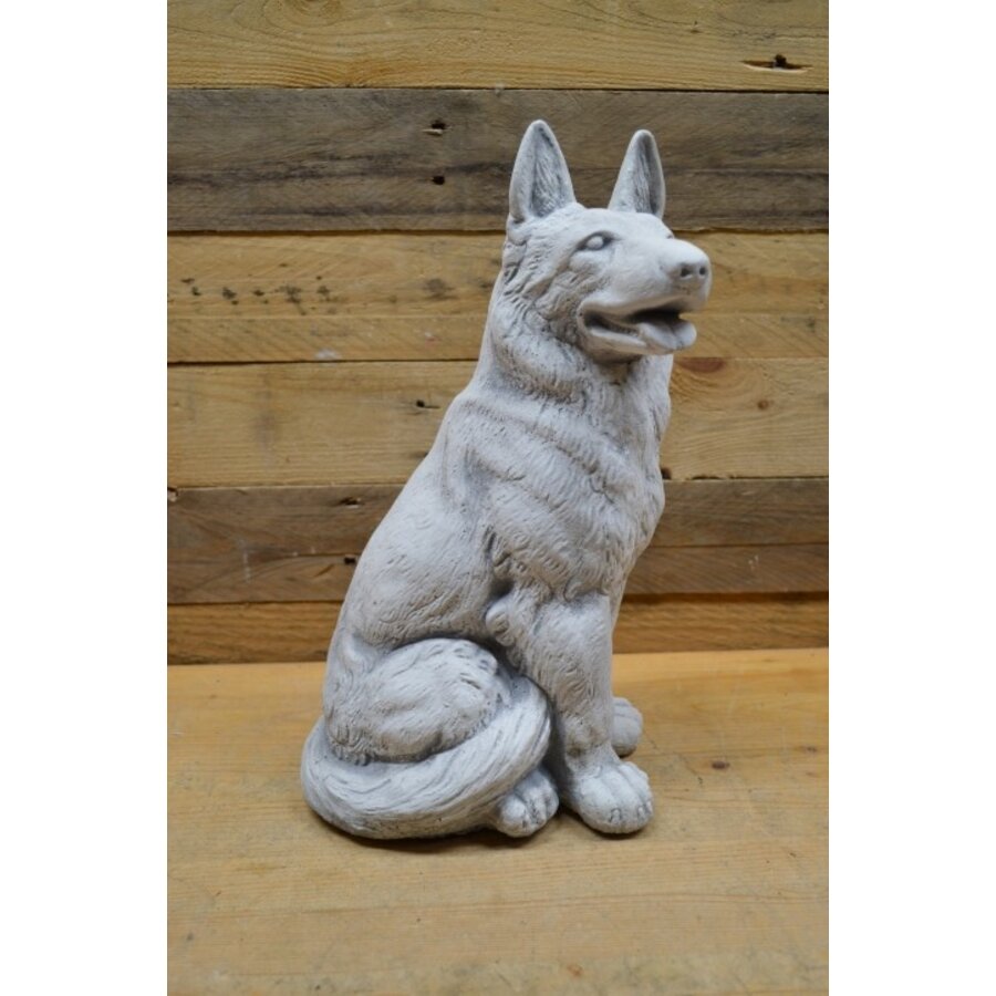 Zittende herdershond van beton – levensecht tuinbeeld van gietsteen-1