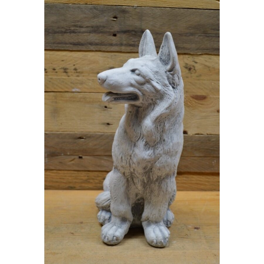 Zittende herdershond van beton – levensecht tuinbeeld van gietsteen-2