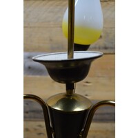 thumb-Retro Hanglamp met tulpen glaasjes-6