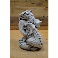 thumb-Gevleugelde draak-5