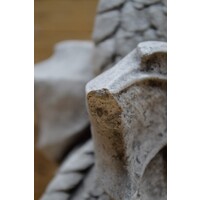 thumb-Gevleugelde draak-6