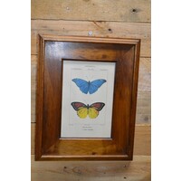 thumb-Schilderijlijstje van hout met afbeelding van vlinders-1