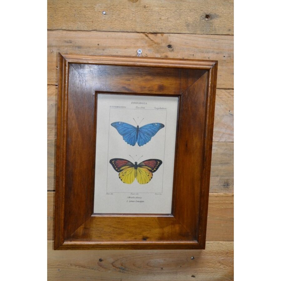 Schilderijlijstje van hout met afbeelding van vlinders-1