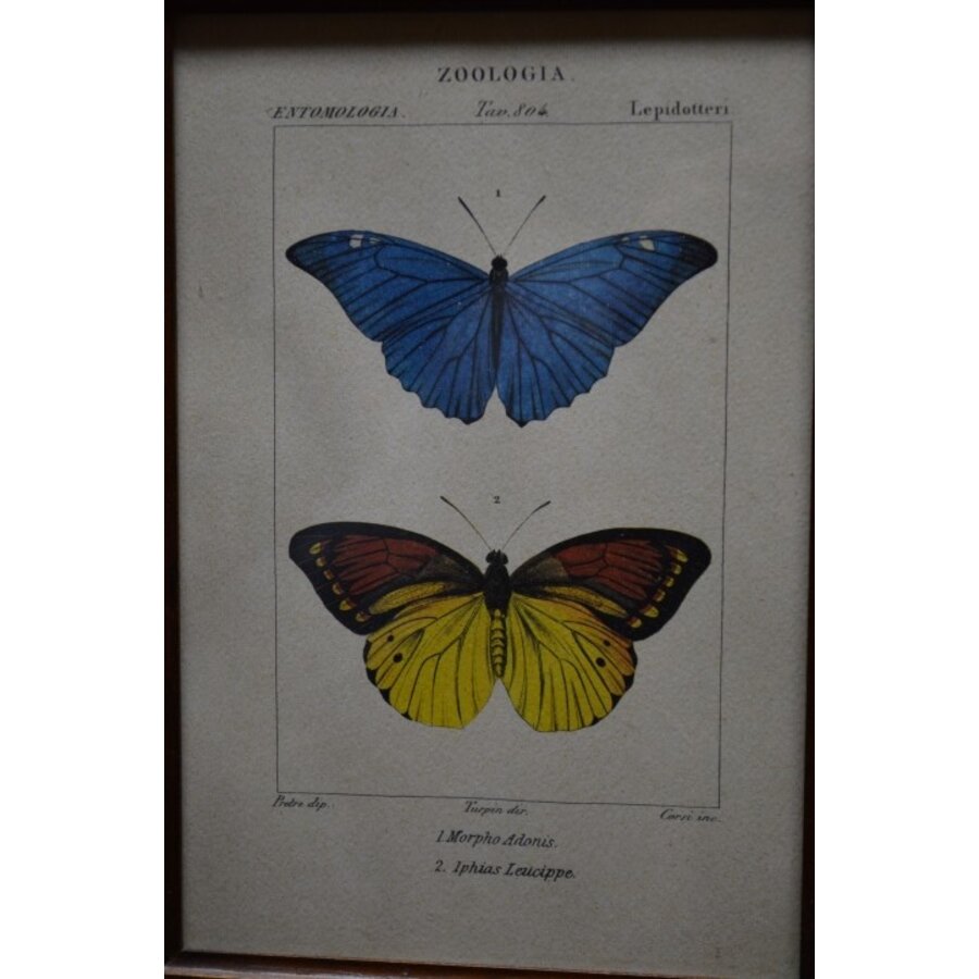Schilderijlijstje van hout met afbeelding van vlinders-2