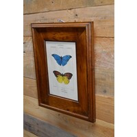thumb-Schilderijlijstje van hout met afbeelding van vlinders-3
