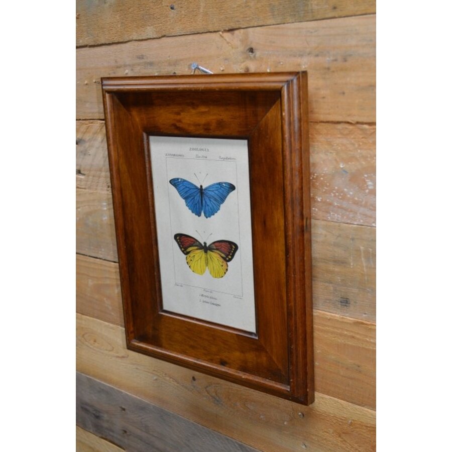 Schilderijlijstje van hout met afbeelding van vlinders-3