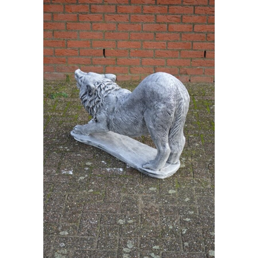 Wolf in doorgebogen houding betonnen tuinbeeld-5