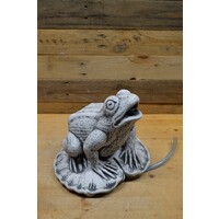 thumb-Kikker met spuitslang betonnen tuinbeeld-1