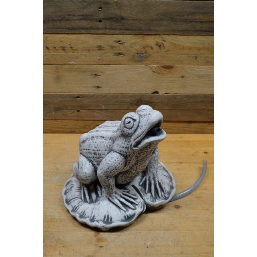 Kikker met spuitslang betonnen tuinbeeld-1