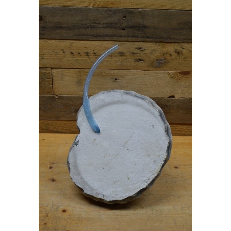 Kikker met spuitslang betonnen tuinbeeld-5