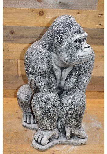 Gorilla aap betonnen beeld 