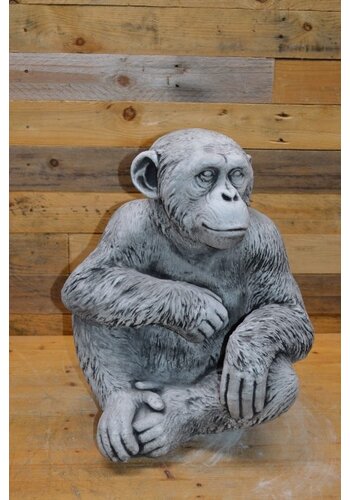 Chimpansee aap tuinbeeld 