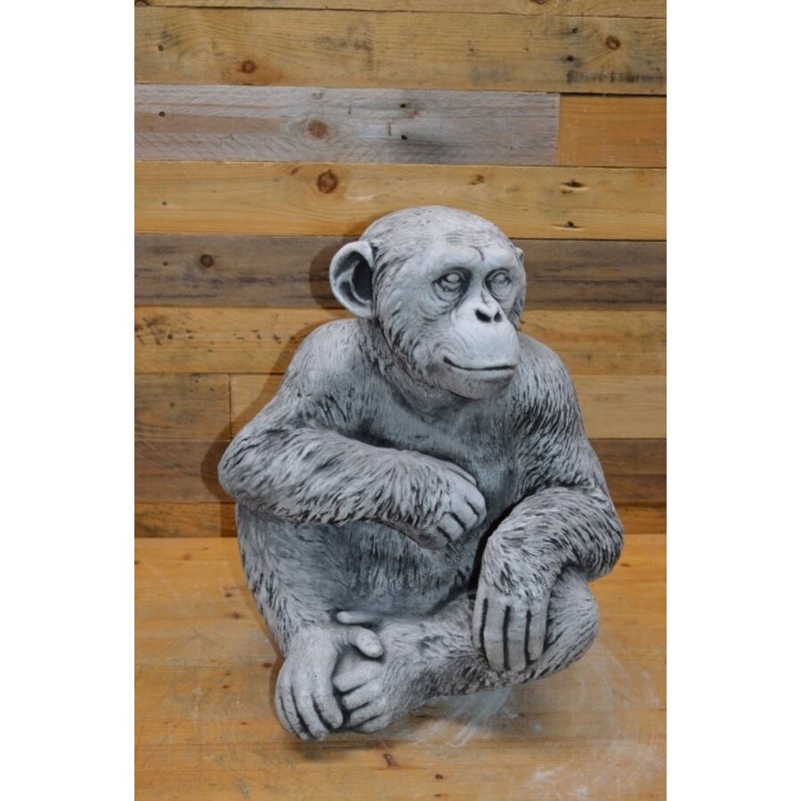 Chimpansee aap betonnen tuinbeeld-1