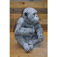 thumb-Chimpansee aap betonnen tuinbeeld-6