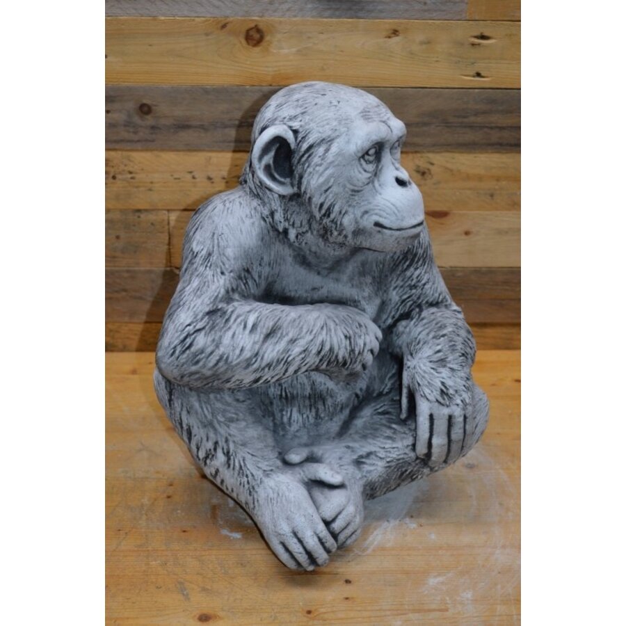 Chimpansee aap betonnen tuinbeeld-6