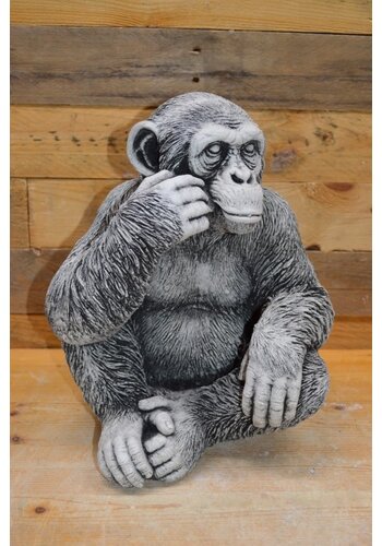 Betonnen beeld kleine chimpansee 