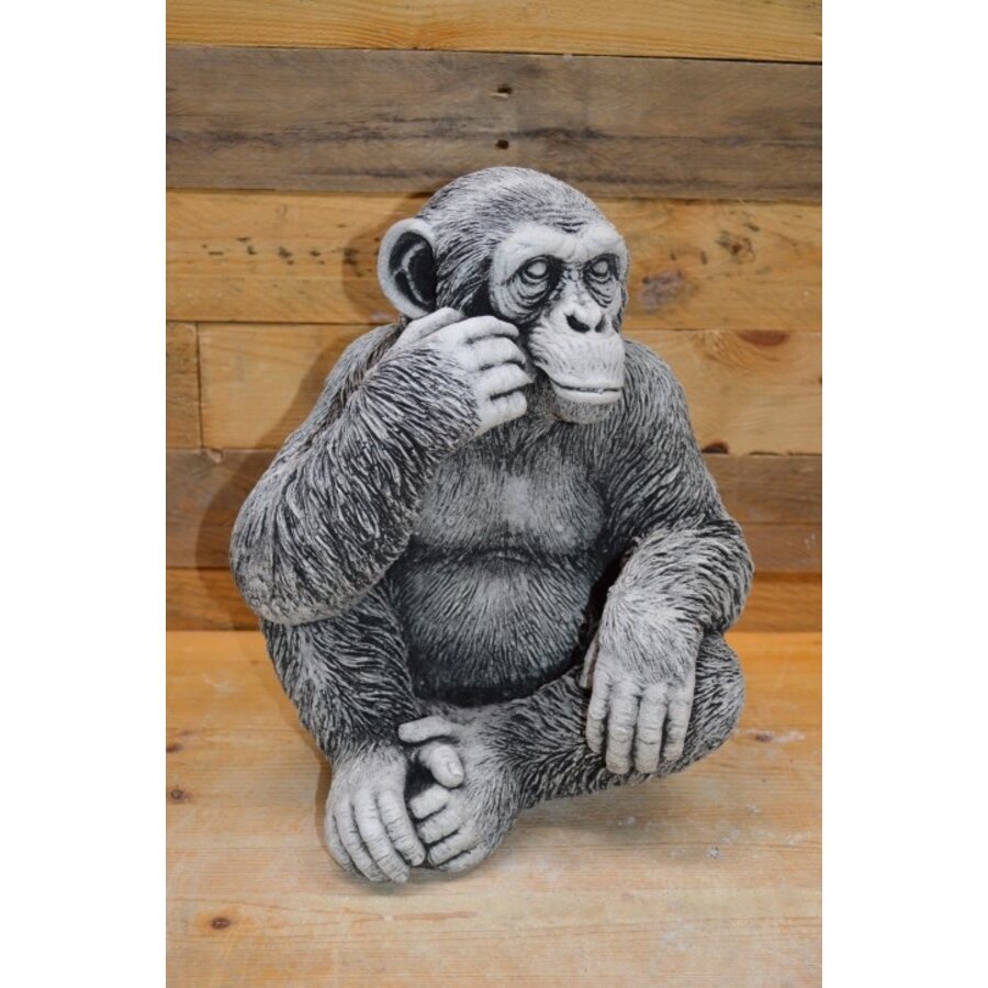 Betonnen beeld van een chimpansee met aansprekend uiterlijk-1