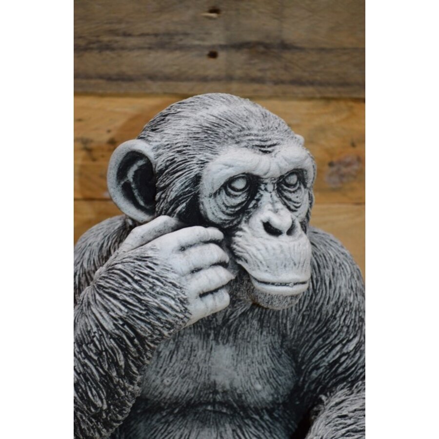 Chimpansee aap klein betonnen tuinbeeld-2