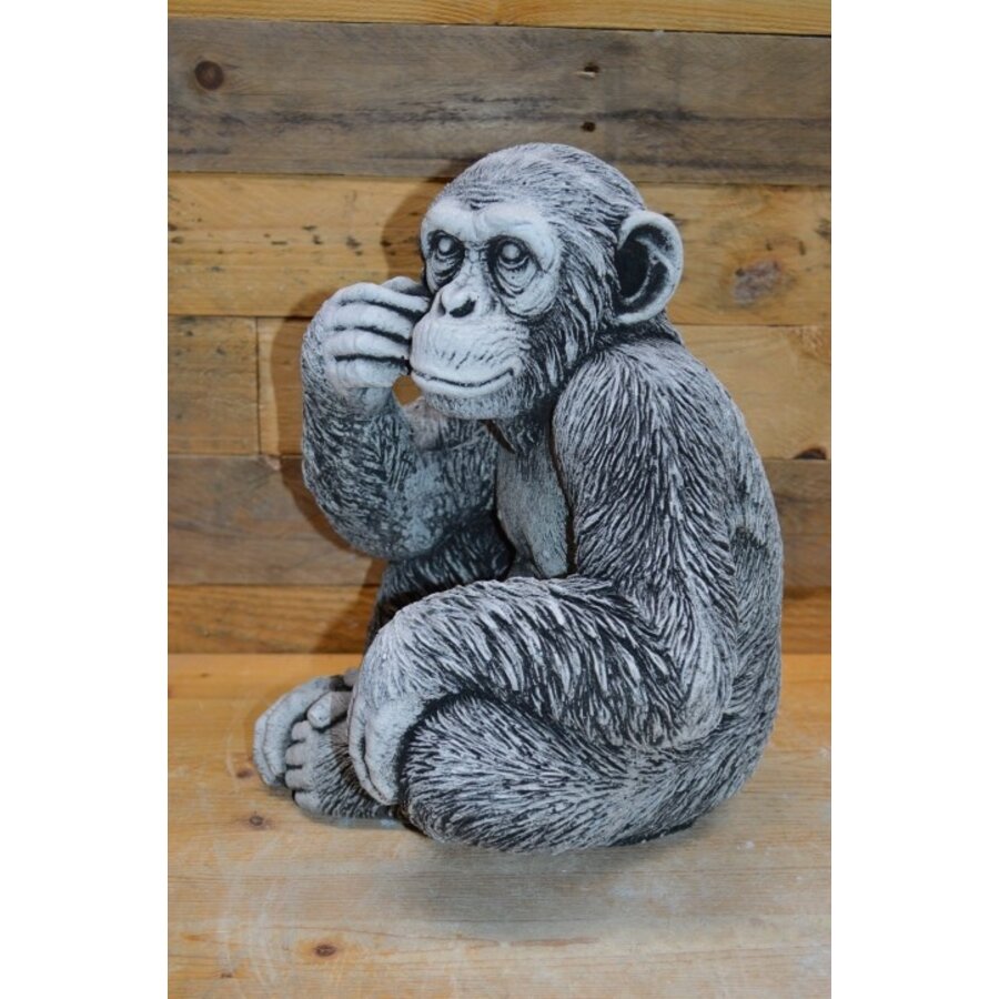 Chimpansee aap klein betonnen tuinbeeld-3