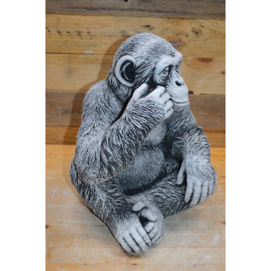 Chimpansee aap klein betonnen tuinbeeld-6