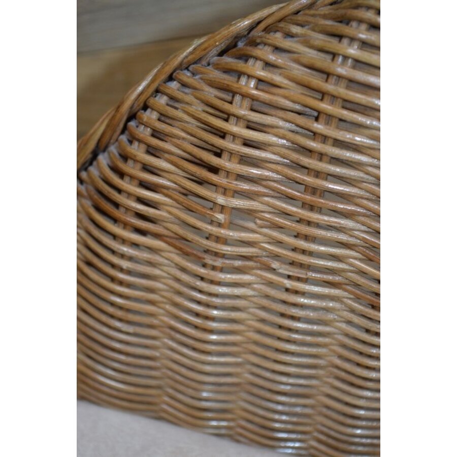 Rotan armstoel fauteuil met uitneembaar kussen-5