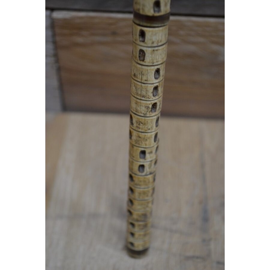 Wandelstok van been-2