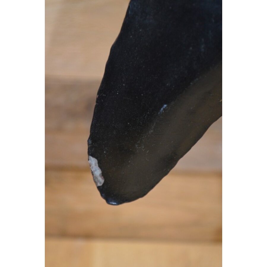 Metalen vogel met vis-8