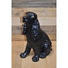 LoodsVol, Tweedehands Cocker Spaniel beeld zittend gips retro
