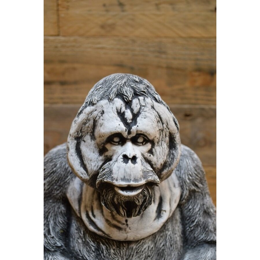 Betonnen orang-oetan – decoratief tuinbeeld met waakzame uitstraling-2