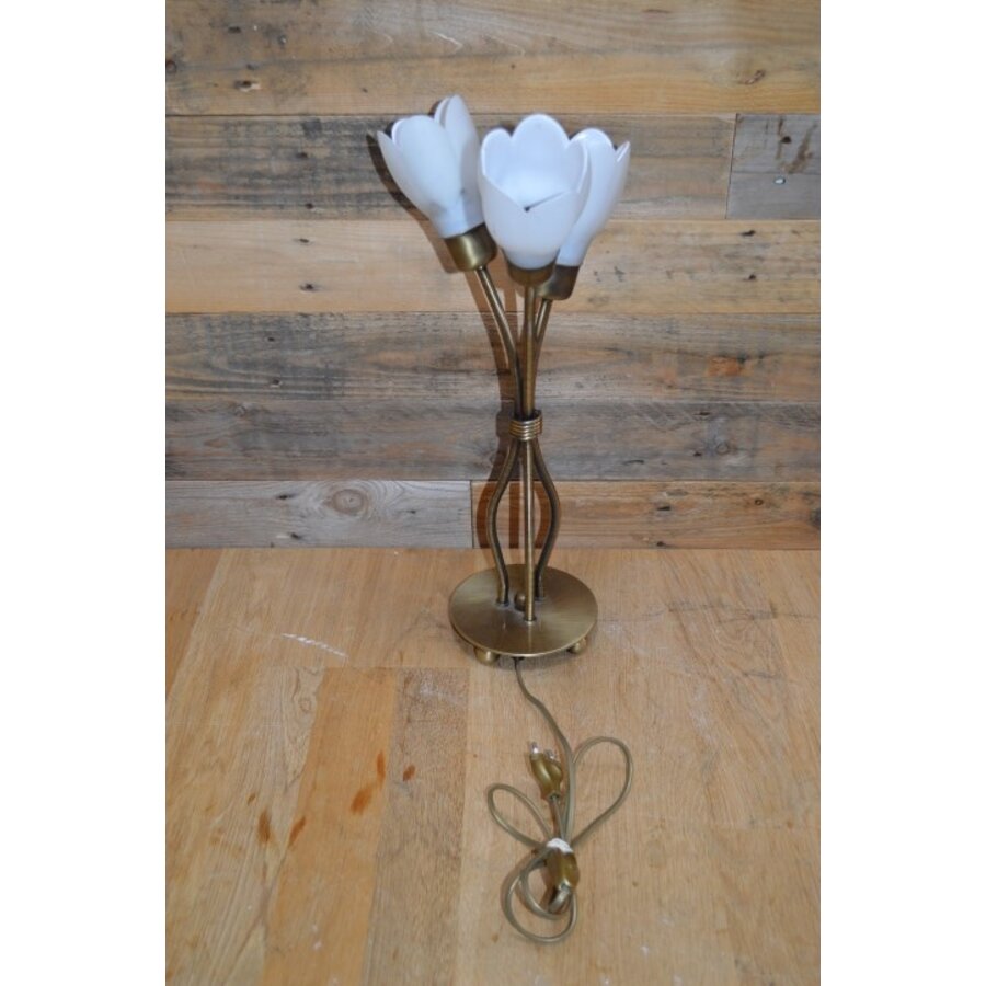 Schemerlamp messingkleur met 3 bloemkapjes-1