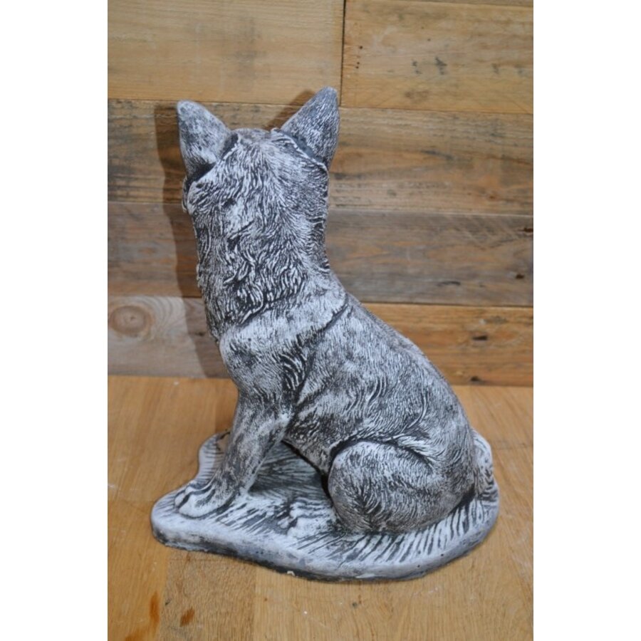 Betonnen vos rechts kijkend – natuurgetrouw tuinbeeld van een waakzame vos-4