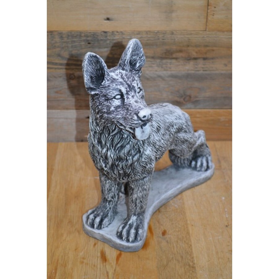 Betonnen staande herdershond – levensecht hondenbeeld met gespitste oren-3