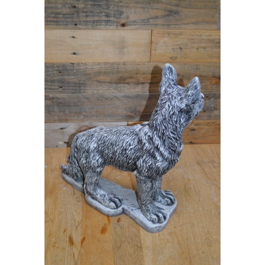 Betonnen staande herdershond – levensecht hondenbeeld met gespitste oren-5