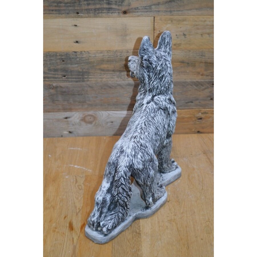 Betonnen staande herdershond – levensecht hondenbeeld met gespitste oren-6